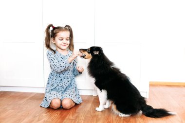 Kız, çocuk köpeğini evde oynar ve eğitir, köpek yavrusu, hayvan eğitimi, neşe, rahatlık, parlak iç mekan