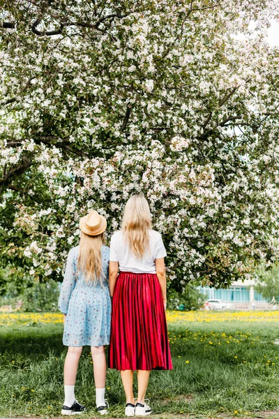 부모와 현화식물인 사과나무 근처에서 도시를 걸어다니면서 바라본다 — 스톡 사진