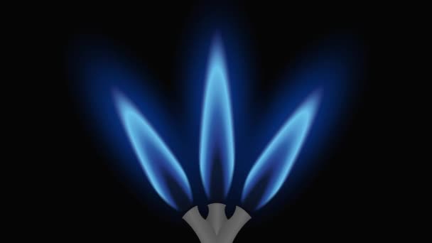 Burneburners Lit Blue Flames — Stock Video
