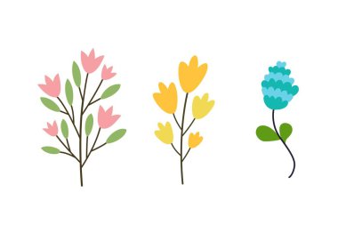 Beyaz arkaplanda izole edilmiş renkli yabani çiçekler - illüstrasyon 