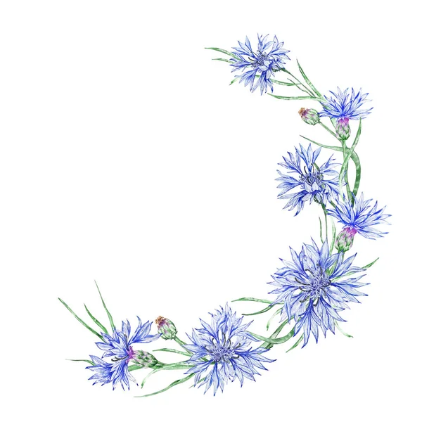 Een Krans Van Korenbloemen Heerlijk Bloeiende Korenbloem Korenbloem Blauw Aquarelachtergrond — Stockfoto