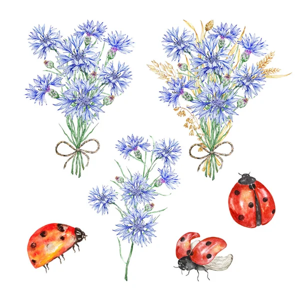 Akvarel Ilustrace Kytice Suché Trávy Divokých Květin Chrpy Berušky Ručně — Stock fotografie