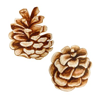 suluboya, Noel 'in izole edilmiş iki kozalağı, Noel için serbest çizim süslemeleri ve boyaların çizdiği yeni yıl resimleri.