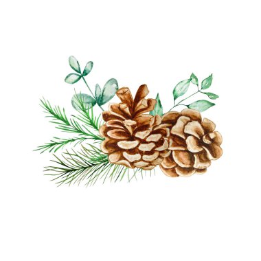 Okaliptüs ve köknar dalıyla Noel buketi ve çam kozalakları - suluboya çizimi. - Mutlu yıllar. Kış yeşilliğinin bileşimi. Kartpostallar, davetiyeler, afişler, posterler için mükemmel..