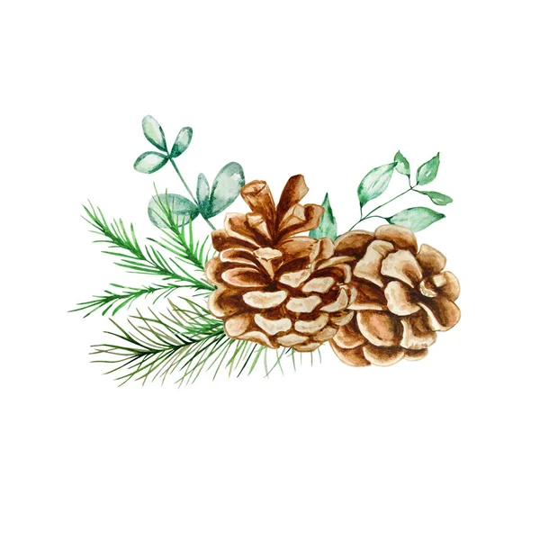 Okaliptüs ve köknar dalıyla Noel buketi ve çam kozalakları - suluboya çizimi. - Mutlu yıllar. Kış yeşilliğinin bileşimi. Kartpostallar, davetiyeler, afişler, posterler için mükemmel..