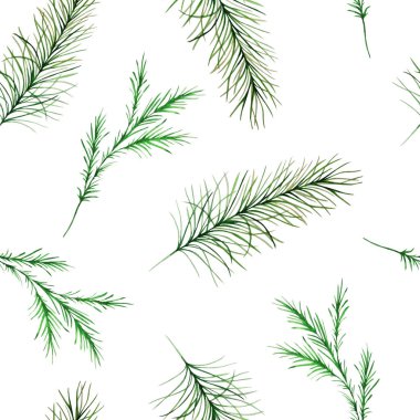 Yeşil çam ve ladin dallı suluboya deseni. Beyaz arka planda elle boyanmış. Kış dönemi. Şenlikli, Noel yeşilliği tasarım, kumaş, baskı için doğa süsü.