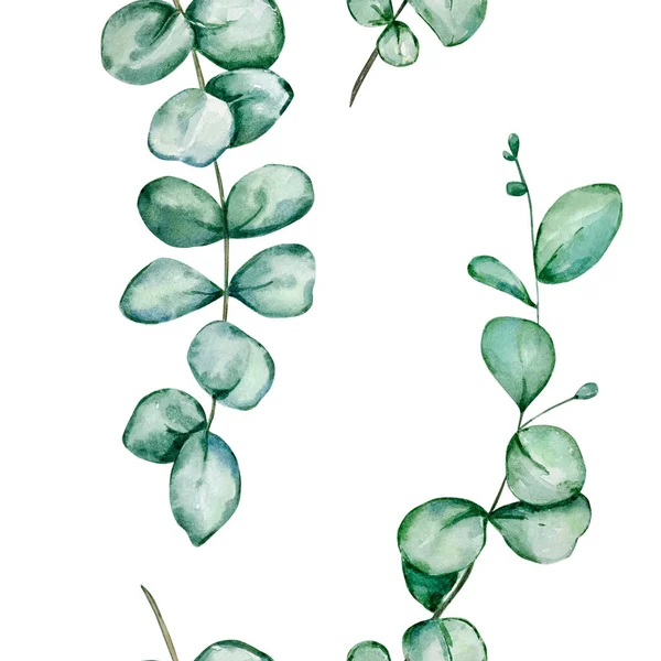 Padrão Aquarela Com Ramos Eucalipto Verde Mão Pintado Isolado Sobre — Fotografia de Stock