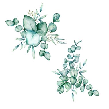 İki buket suluboya okaliptüs. Beyaz arka planda el yapımı okaliptüs dalları, yapraklar ve çiçekler. Tasarım, baskı, kumaş veya arkaplan için çiçek çizimi.