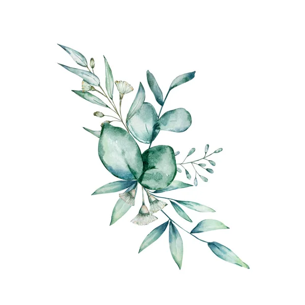 Aquarel Eucalyptus Boeket Met Hand Geschilderde Eucalyptus Takken Bladeren Bloemen — Stockfoto