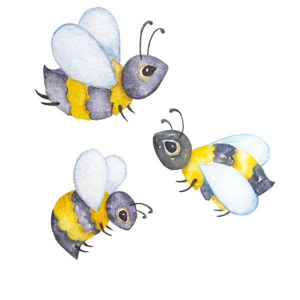 水彩画蜜蜂 各种野生昆虫 手绘插图 白色背景孤立 暑假标志 明信片 横幅和网站 — 图库矢量图片