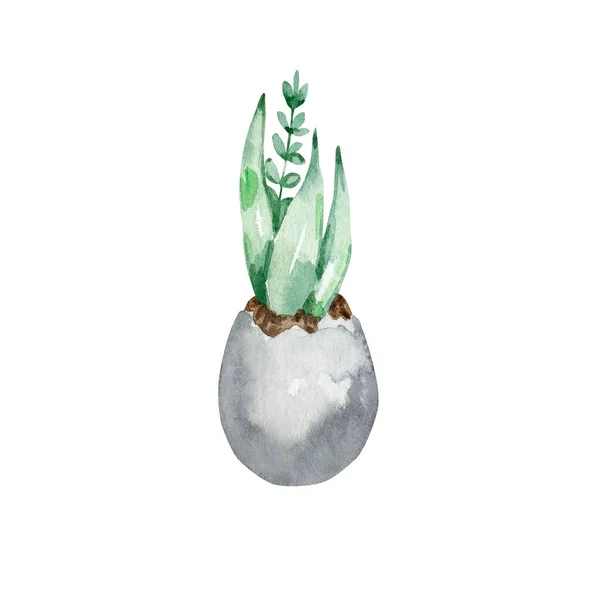 Χέρι Ζωγραφισμένο Ακουαρέλα Κάρτα Πάσχα Λουλούδια Ένα Αυγό Απομονωμένα Λευκό — Φωτογραφία Αρχείου