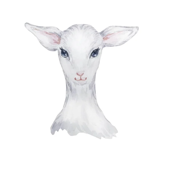 Ilustración Acuarela Cordero Blanco Imagen Pascua Retrato Una Cabra Delicado —  Fotos de Stock