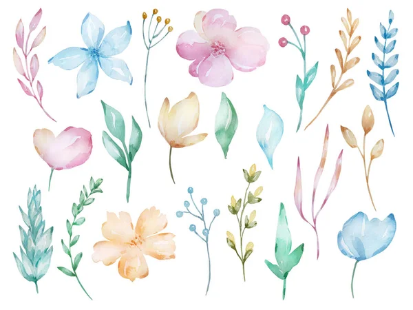 Yumuşak bahar çiçekleri, dallar ve yapraklar, pastel gölgeler. Tebrik kartı, düğün davetiyesi, doğum günü ve diğer tatil ve yaz arkaplanı tasarımı.
