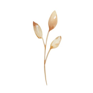 Beyaz arka planda bej yapraklı suluboya dalları. Kartpostal, etiket, tekstil, ambalaj için yaratıcı tasarım