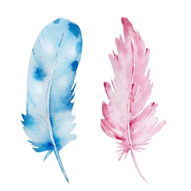 Suluboya tüyleri, mavi ve pembe. Boho tarzı. Beyazda izole edilmiş bir resim. Paskalya için tasarım, davetiyeler, tebrik kartları