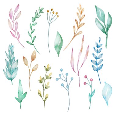 Bahar dalları ve yaprakları suluboya seti, pastel gölgeler. Tebrik kartı, düğün davetiyesi, doğum günü ve diğer tatil ve yaz arkaplanı tasarımı.