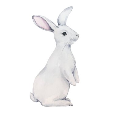 Beyaz arka planda suluboya şirin gri ve beyaz Paskalya tavşanı. Paskalya kartları ve davetiyeler için tasarım