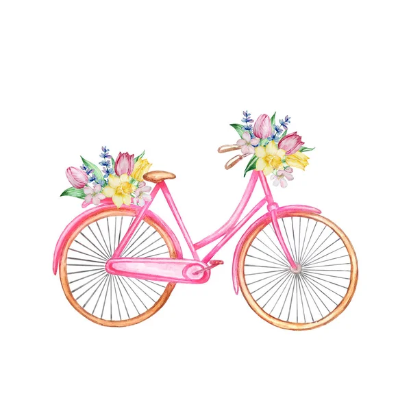 Watercolor painting spring flowers, pink bike with tulips, daffodils. flower arrangement for greeting card, invitation, poster, wedding decoration and other images.