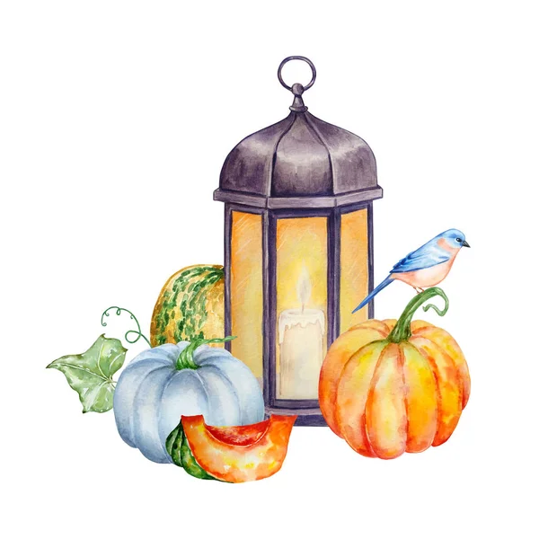Podzimní Akvarel Lucernou Dýněmi Listy Ptáky Ilustrace Pro Pozvánky Typografii — Stock fotografie