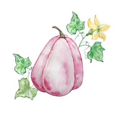 Pembe kabaklı suluboya sonbahar kompozisyonu ve sarı çiçekli bir dal. Davetiyeler, tipografi, baskı ve diğer tasarımlar için illüstrasyon