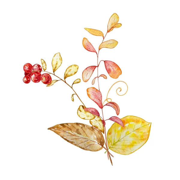 Акварельний Букет Ботанічна Ілюстрація Осіння Композиція Яскравого Осіннього Листя Ягід — стокове фото