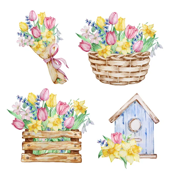 Set Von Aquarellkompositionen Frühlingsblumen Korb Vogelhaus Schachtel Mit Tulpen Narzissen — Stockfoto