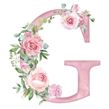 Suluboya pembe güller. Kart tasarımı için G harfi. Baş harfler, baş harfler..