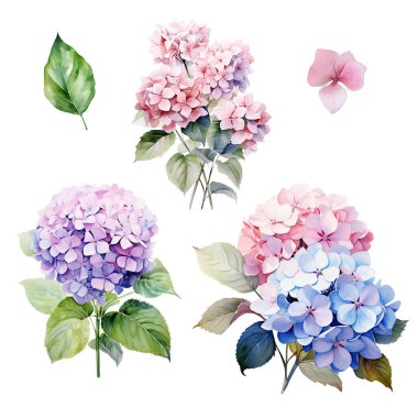 Pembe, mavi ve mor ortanca dallı suluboya seti yapraklı, çiçek resimli