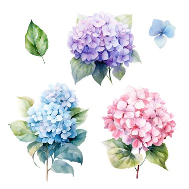 Pembe, mavi ve mor ortanca dallı suluboya seti yapraklı, çiçek resimli