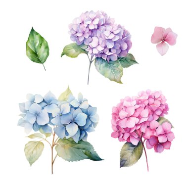 Pembe, mavi ve mor ortanca dallı suluboya seti yapraklı, çiçek resimli