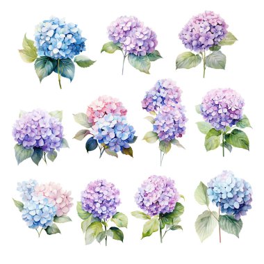 Mavi ve mor ortanca dallı suluboya seti yapraklı, çiçek resimli