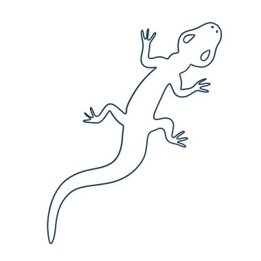 Kertenkele, Çizgi Sanatı Kovboy mavisi grafik çizimi.