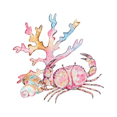 Suluboya deniz kabuğu bileşimi, sualtı hayvanları okyanusu..