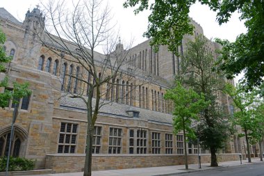 Yale Üniversitesi Sterling Memorial Kütüphanesi, New Haven, Connecticut, CT, ABD.