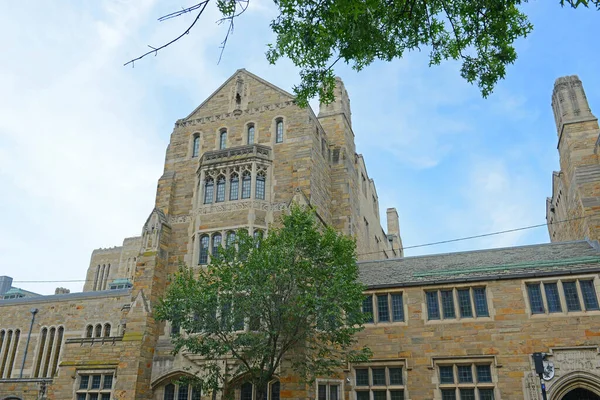 Anne Robert Bass Library Yale University New Haven Connecticut Usa — стокове фото