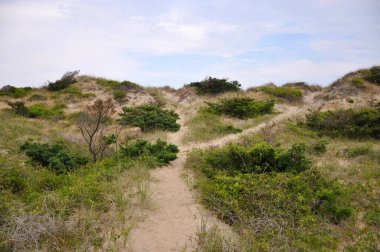 Cape Hatteras Ulusal Sahil Günbatımı, Hatteras Adası, Kuzey Carolina NC, ABD.