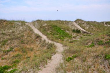Cape Hatteras Ulusal Sahil Günbatımı, Hatteras Adası, Kuzey Carolina NC, ABD.