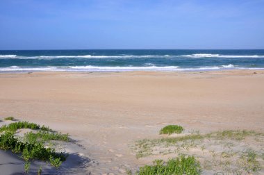 Hatteras Adası, Kuzey Carolina NC, ABD 'deki Cape Hatteras National Seashore' da kum tepesi..