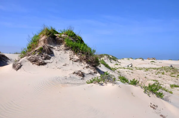 Piaszczysta Wydma Cape Hatteras National Seashore Wyspie Hatteras Karolina Północna — Zdjęcie stockowe