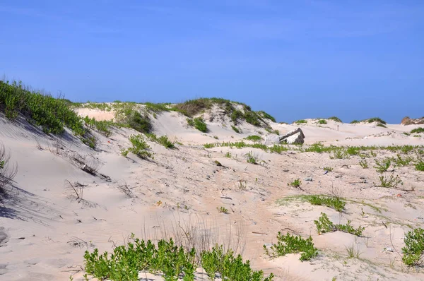 Piaszczysta Wydma Cape Hatteras National Seashore Wyspie Hatteras Karolina Północna — Zdjęcie stockowe