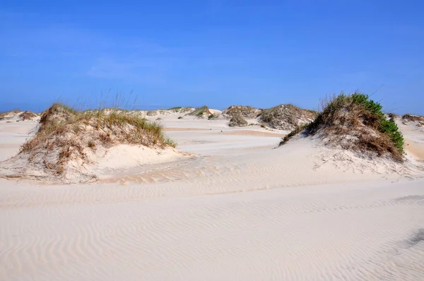 Piaszczysta Wydma Cape Hatteras National Seashore Wyspie Hatteras Karolina Północna — Zdjęcie stockowe