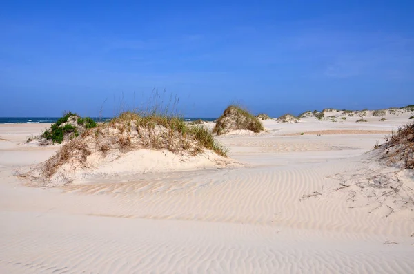 Piaszczysta Wydma Cape Hatteras National Seashore Wyspie Hatteras Karolina Północna — Zdjęcie stockowe