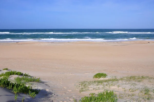 Sand Dune Cape Hatteras National Seashore Hatteras Island North Carolina — Stockfoto