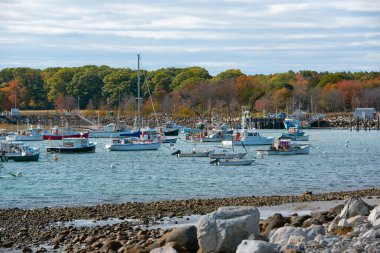 Rye Harbor 'da Rye Harbor State Park' ın yanındaki antika balıkçı teknesi, New Hampshire, ABD.