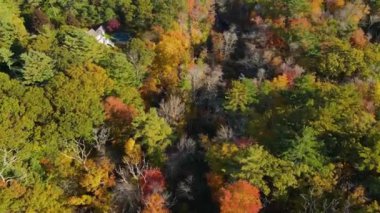 Furnace Brook, Kingston, Massachusetts MA, ABD 'de sonbahar yeşillikleriyle kaplı.. 