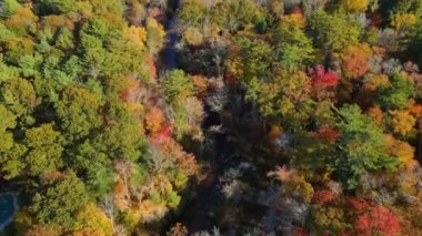Furnace Brook, Kingston, Massachusetts MA, ABD 'de sonbahar yeşillikleriyle kaplı.. 