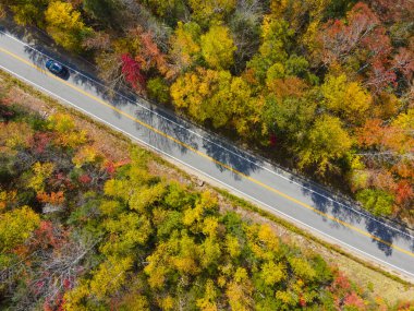 White Mountain Ulusal Ormanı, Hancock Notch yakınlarındaki Kancamagus Highway 'de New Hampshire NH, ABD.