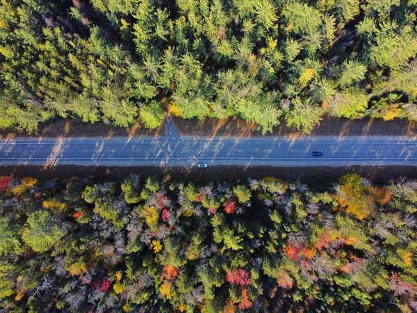 White Mountain National Forest Folhagem Queda Kancamagus Highway Vista Superior — Fotografia de Stock