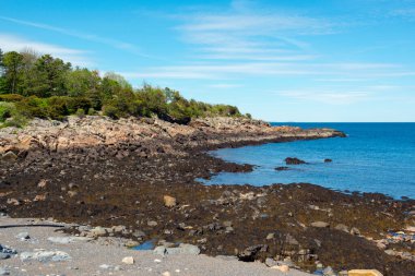 Ogunquit, Maine ME, ABD 'de Marjinal Yol' da Rocky Coast.