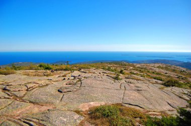 Acadia Ulusal Parkı, Maine ME, ABD 'de sonbahar yeşillikleriyle Cadillac Tepesi' nin tepesinde..
